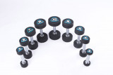Гантели в уретане LIVEPRO Studio Dumbbells 5 кг, черный/синий