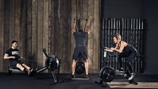 Комплект из 3-х кроссфит тренажеров Concept2: лыжный SkiErg с подставкой + гребной Model D + вело BikeErg Комплект из 3-х кроссфит тренажеров Concept2: лыжный SkiErg с подставкой + гребной Model D + вело BikeErg