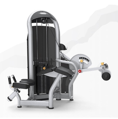 Тренажер грузоблочный Сгибание ног лежа MATRIX Aura G3-S73 Тренажер грузоблочный Сгибание ног лежа MATRIX Aura G3-S73