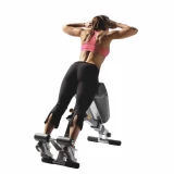 Hoist HF-4263 Скамья для спины и пресса 