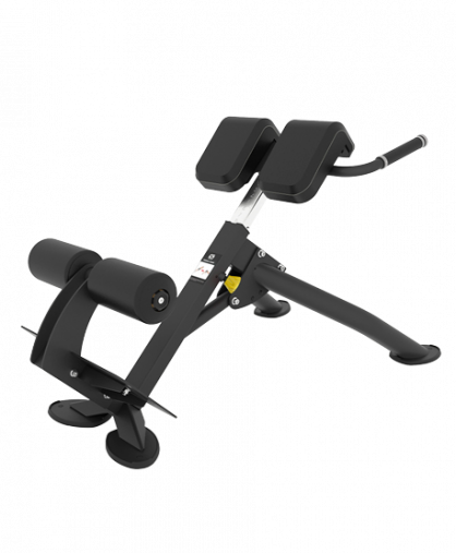 Гиперэкстензия под углом 45 градусов Spirit SP-4220