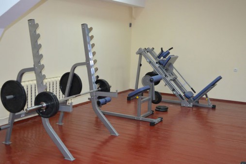 Стойка для жимов и приседаний AeroFit IF IFSS Стойка для жимов и приседаний AeroFit IF IFSS