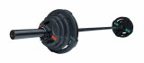 Штанга олимпийская наборная 58 кг OFT (диски 50 мм с двумя хватами, черный гриф 220 см)